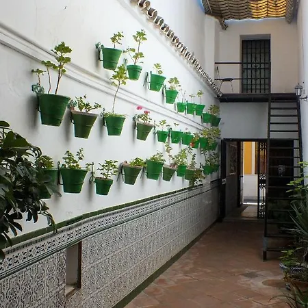 El Patio De Santiago *