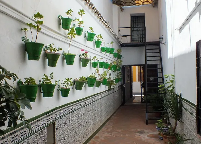 El Patio De Santiago コルドバ