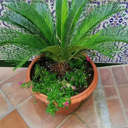 招待所 El Patio De Santiago