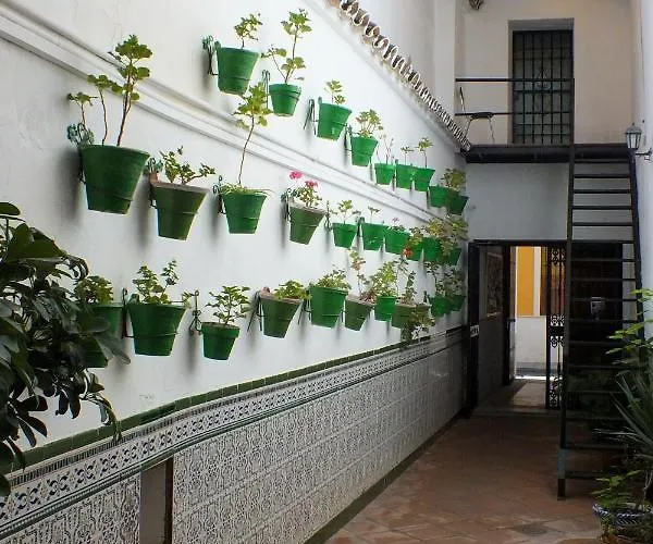 El Patio De Santiago *